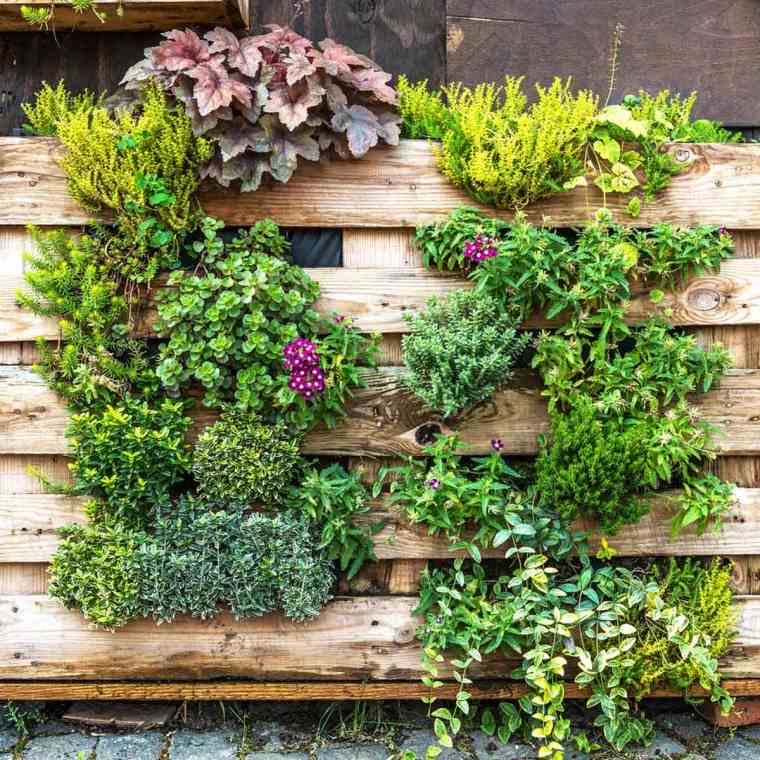 habiller un mur extérieur avec un mur de plantes vertes 