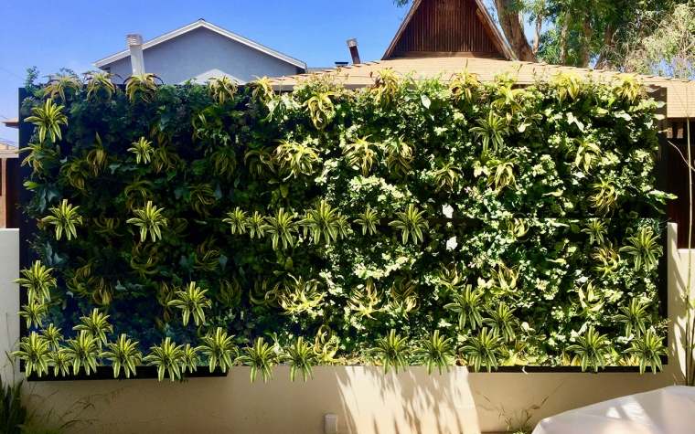 mur végétal sur une clôture