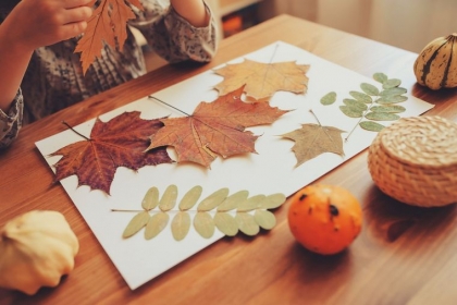 quelles feuilles automne guirlande decorative