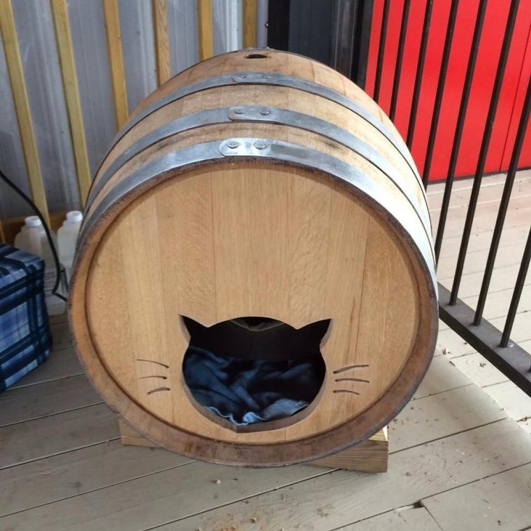 lit de chat en tonneau de vin 