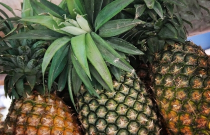 ananas bienfaits pour la santé