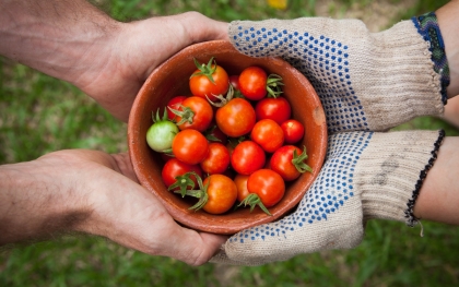 alimentation intuitive explication