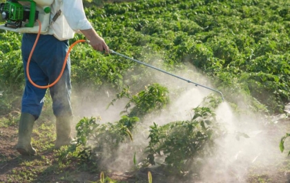 pesticides effets enfants