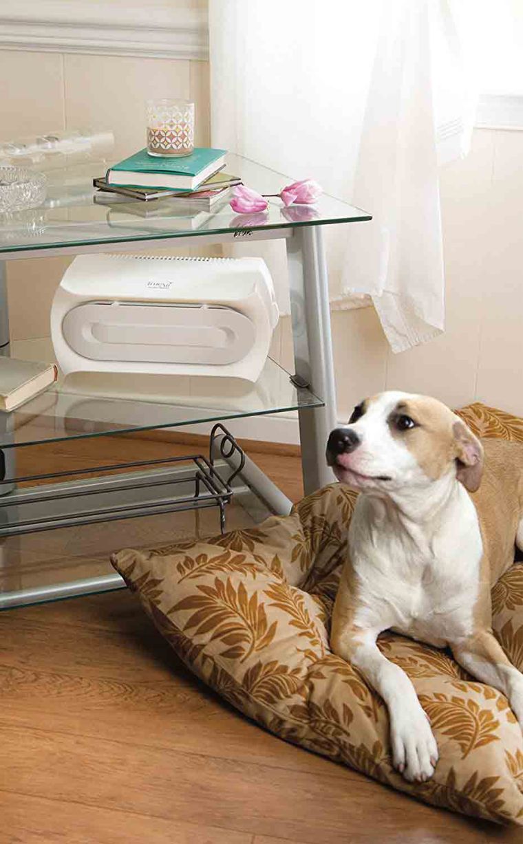 les bienfaits du purificateur d'air