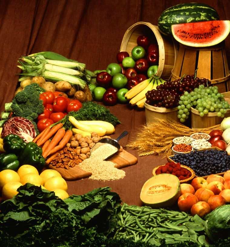 aliments pour le régime à base de plantes 