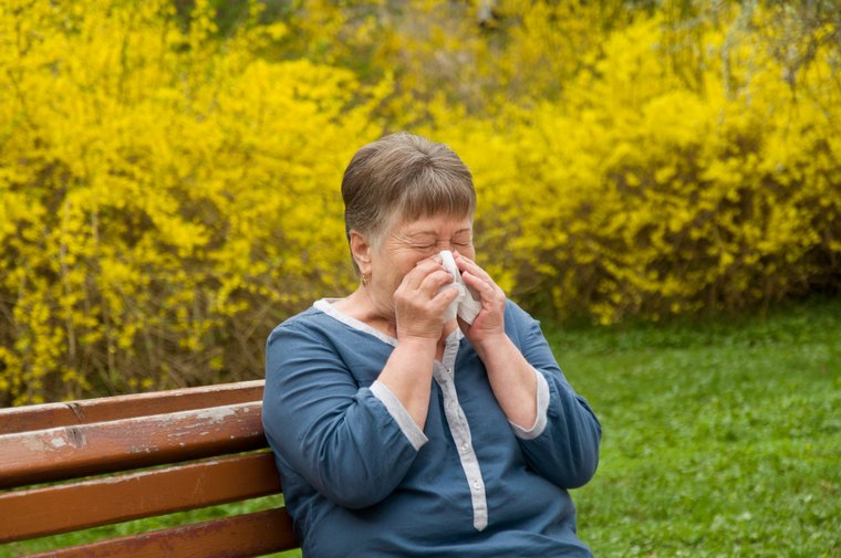 allergies au pollen hausse