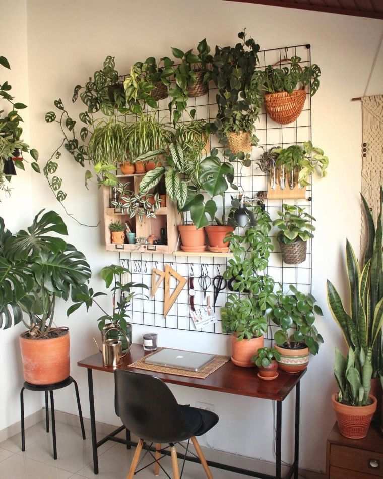 décoration avec plantes pour bureau 