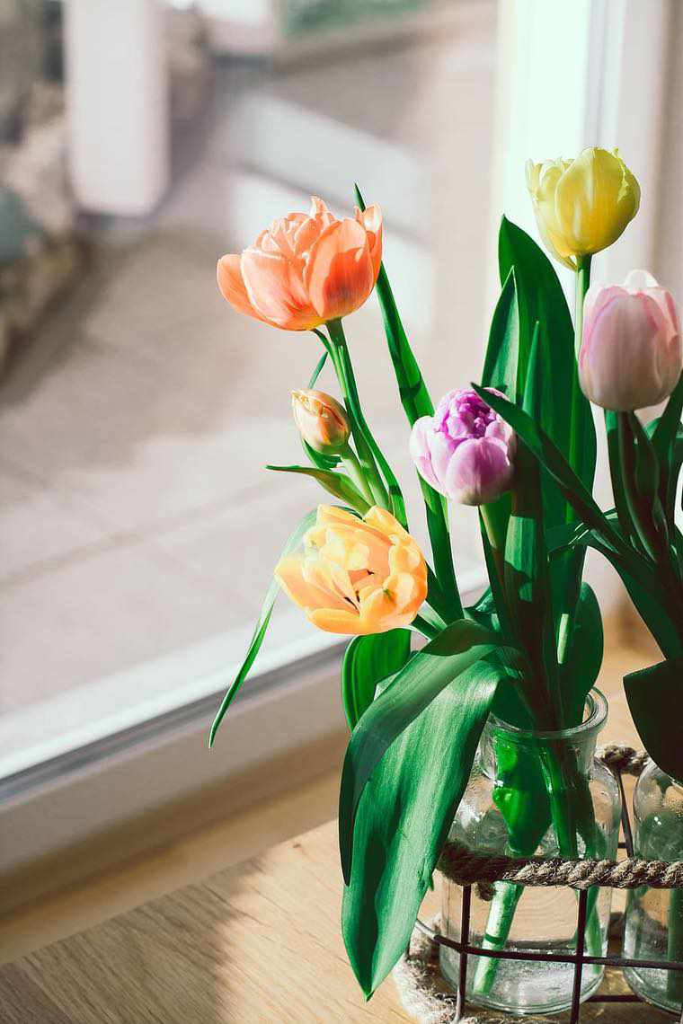 tulipes idée déco de printemps originale