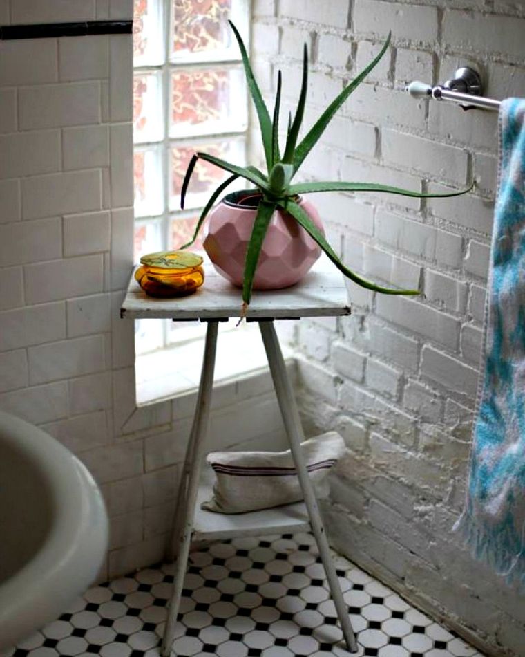 plantes vertes salle de bain: aloe vera
