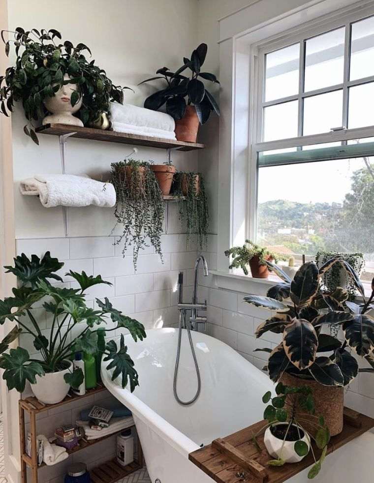 plantes vertes salle de bain de design moderne 