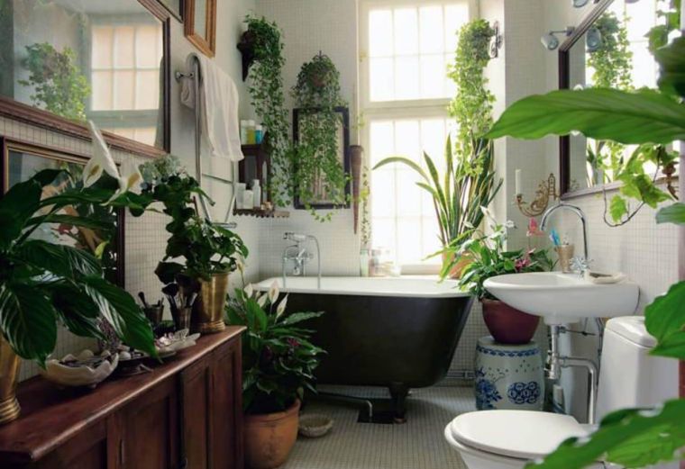 idée de plantes vertes salle de bain