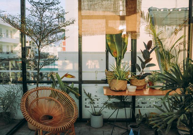 joli espace avec plantes moderne