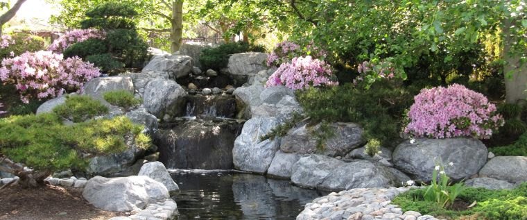 aménagement jardin japonais avec pierre 