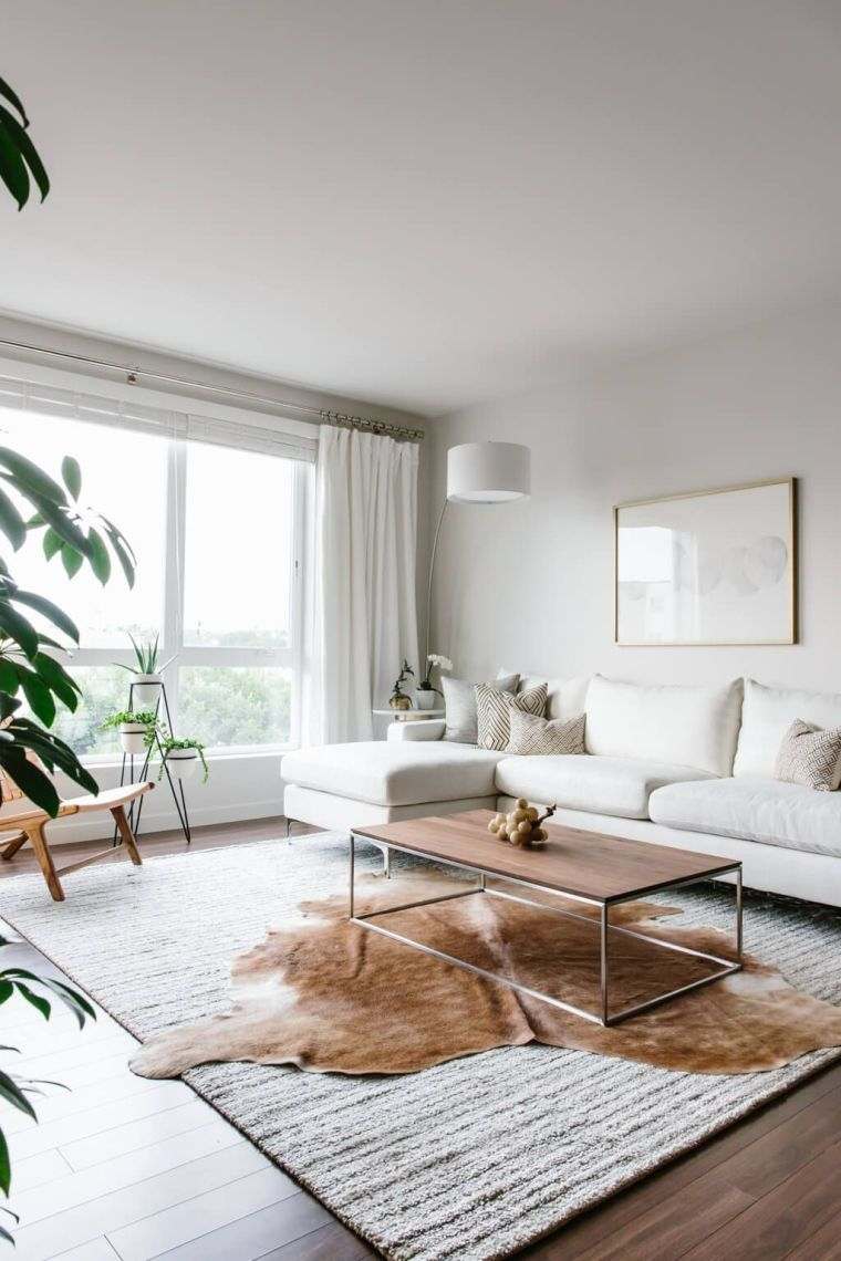 salon minimaliste moderne 
