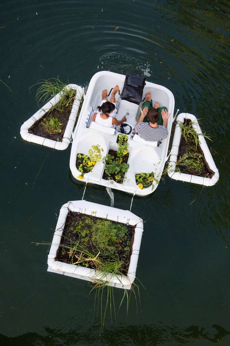 jardin dans un bateau flottant