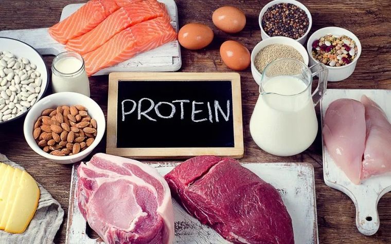manger des protéines pour perdre la graisse des bras