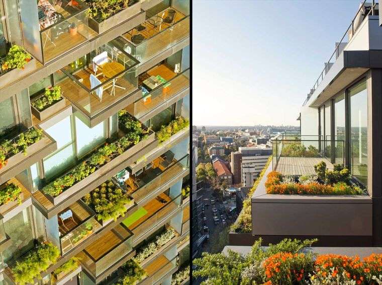 terrasses végétalisées modernes à Sydney