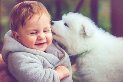 animaux de compagnie et bébé