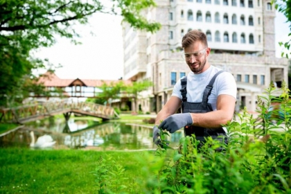 espaces-vegetalises copropriete bordures