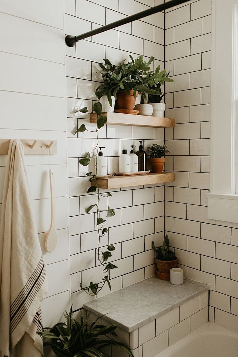 plantes vertes pour l'intérieur