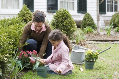 quoi faire dans le jardin en hiver