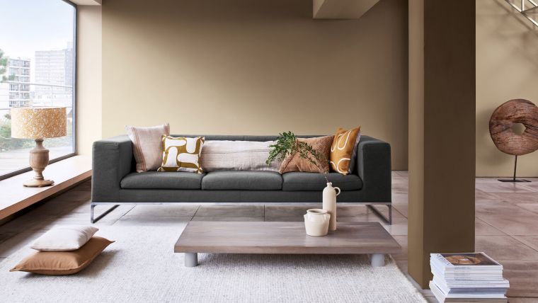idée pour déco de salon moderne et élégant