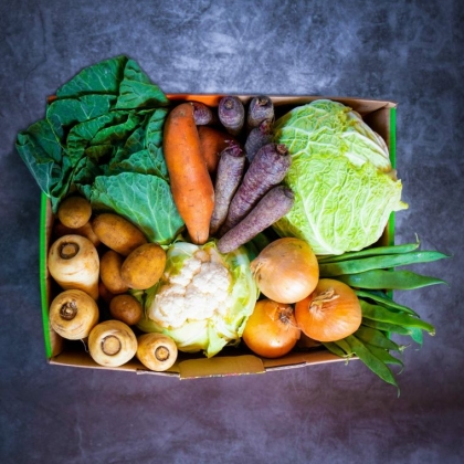 fruits et légumes de février à consommer