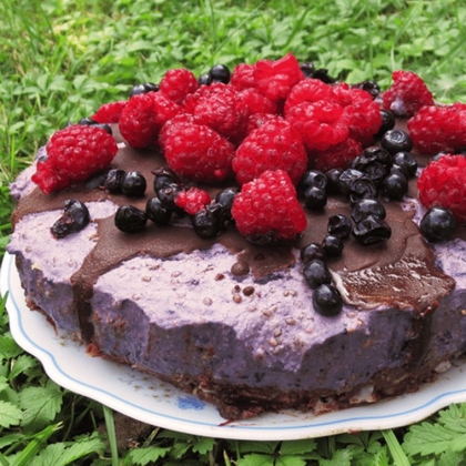 gateau vegan sans gluten sucre idees