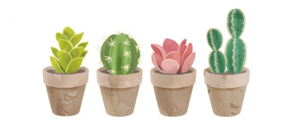 plantes succulentes meilleures deco