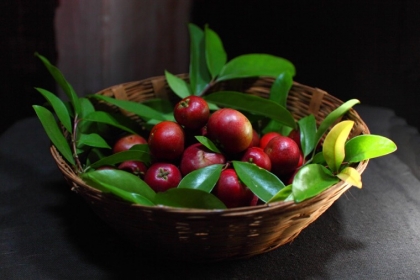 kokum plante beurre utilisation bienfaits