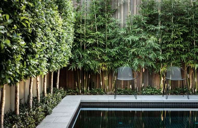 déco de piscine avec bambou