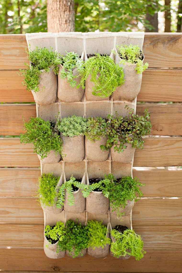 comment créer un mur végétal