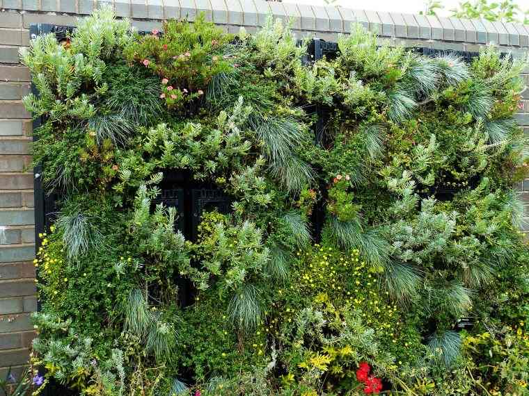 déco de jardin avec mur végétal de plantes 