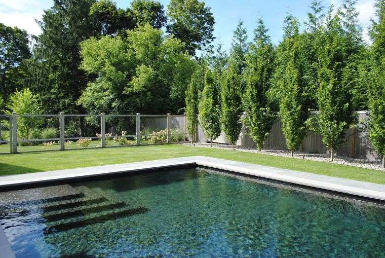idée de déco avec des arbres pour la piscine 