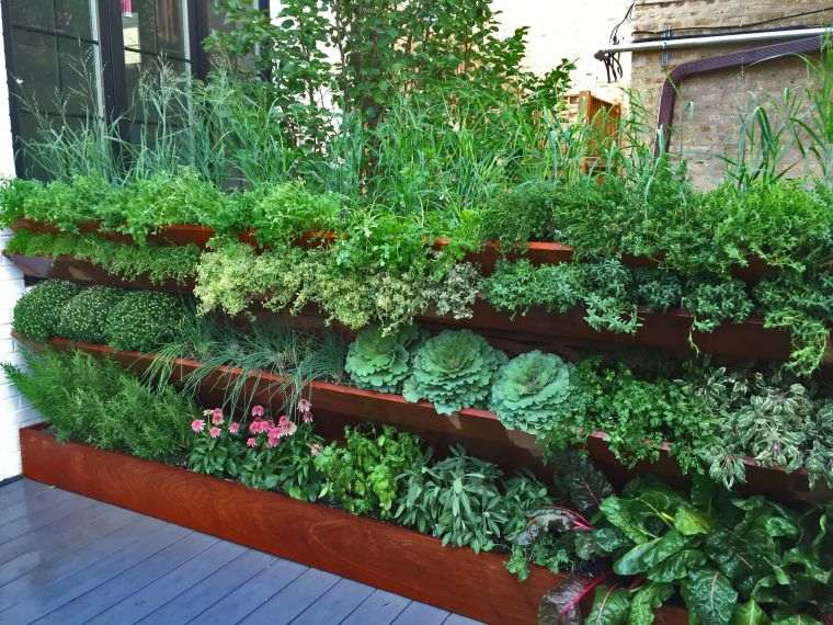 mur végétal extérieur avec des plantes vertes 