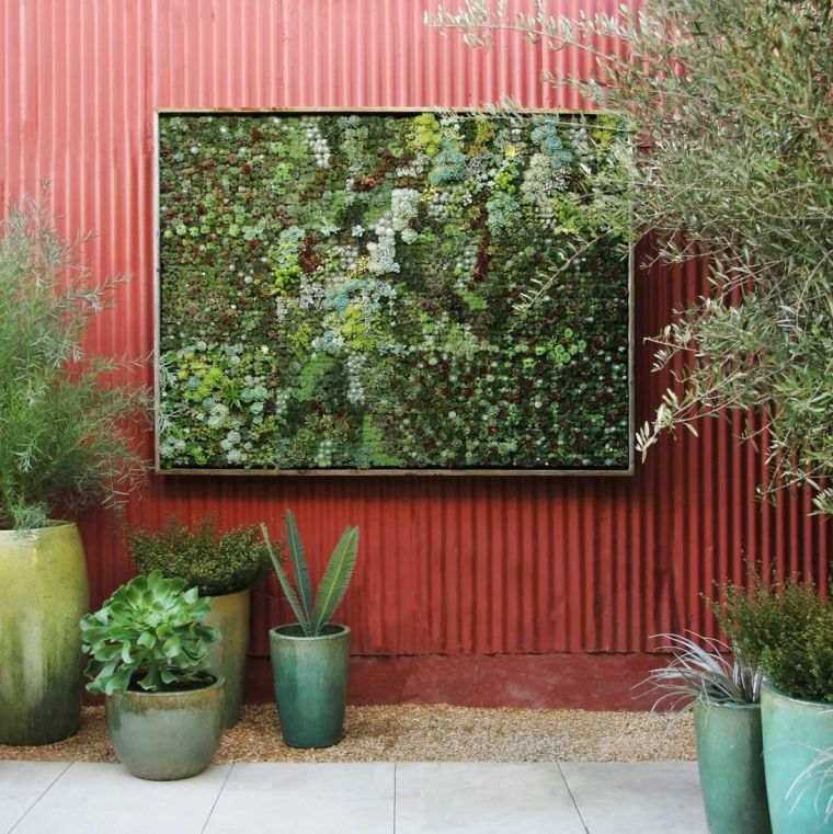 mur végétal avec des plantes grasses 
