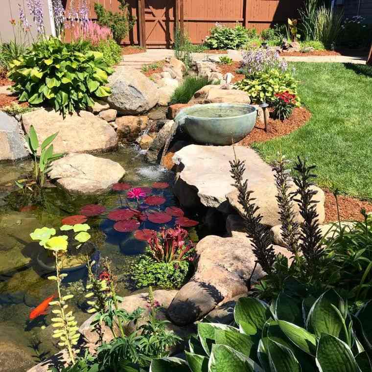 pièce d'eau jardin avec bassin 