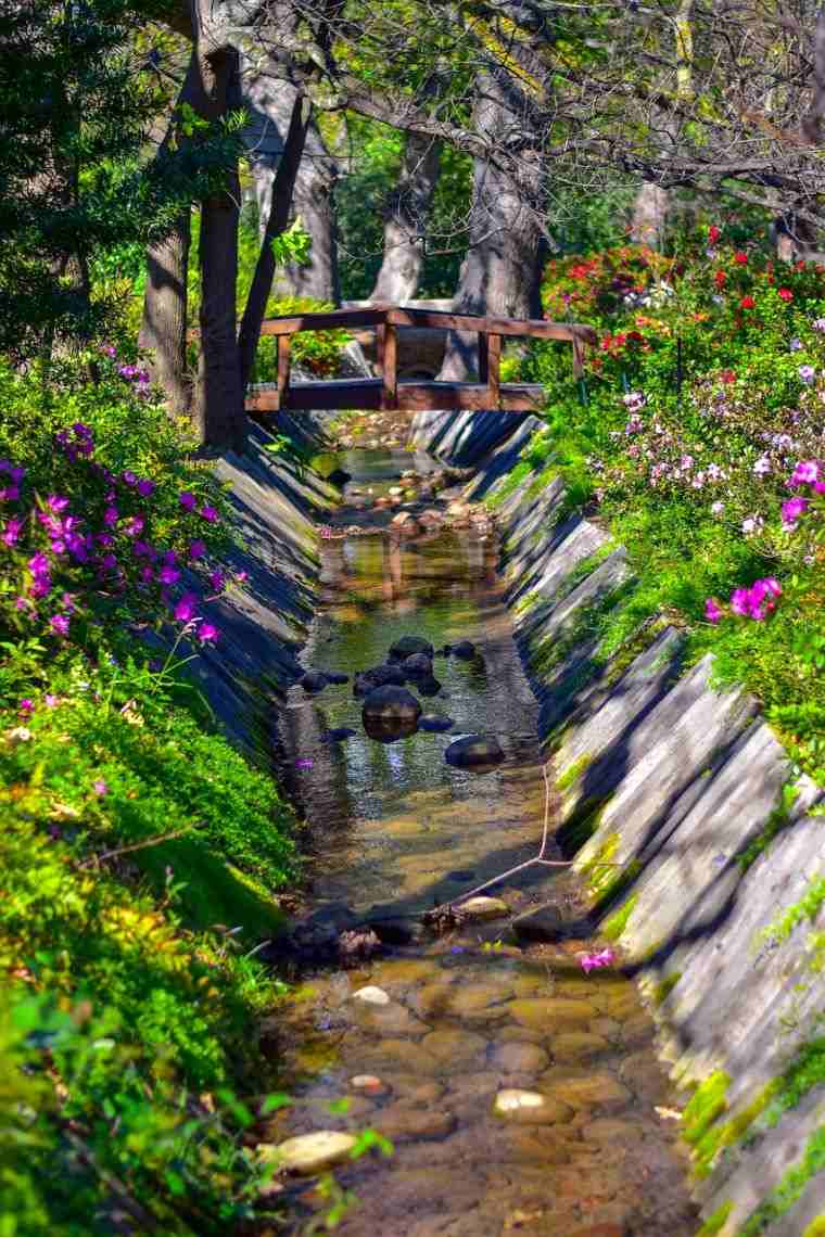 ruisseau de jardin avec pont