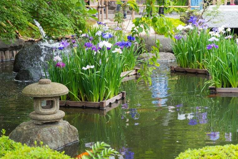 jardin zen fleurs beauté