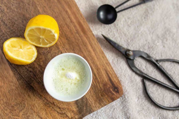 comment nettoyer la rouille avec du sel et citron