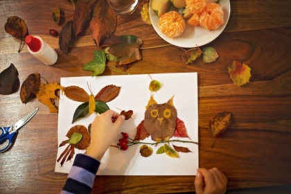 hibou feuilles d'automne