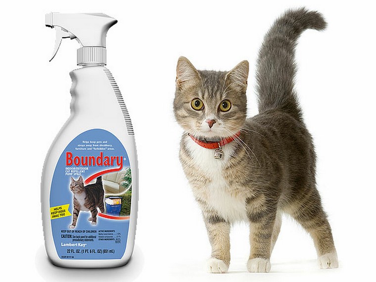 spray répulsif naturel pour chat