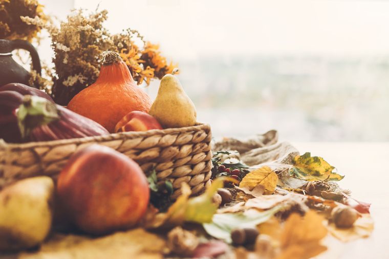 alimentation automne aliments frais