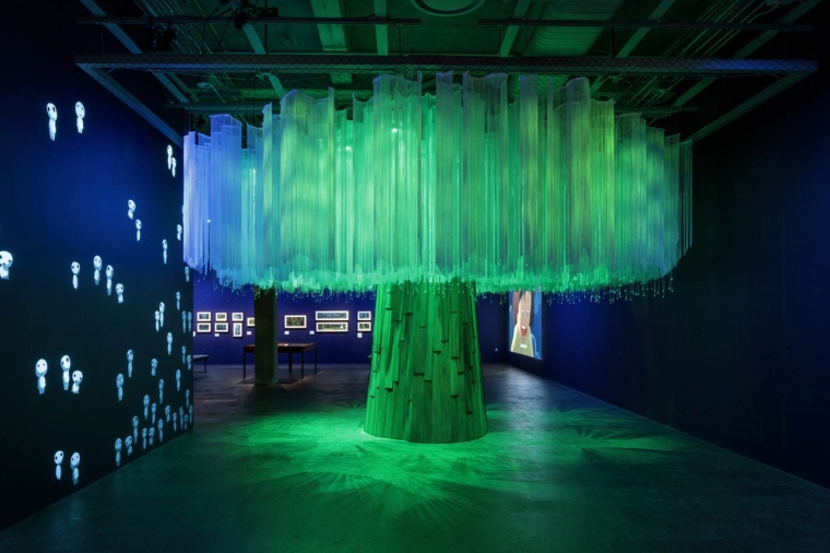 exposition film directeur cinema