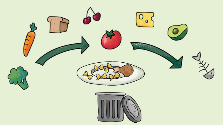 gaspillage perte alimentaire