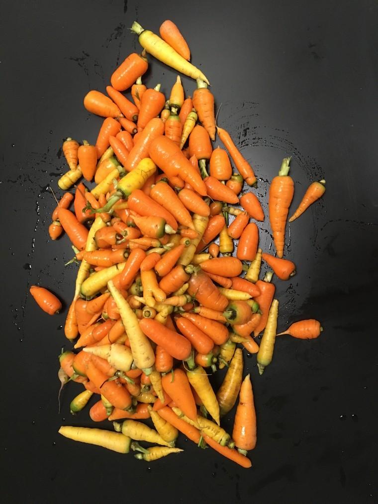 petites carottes tailles différentes