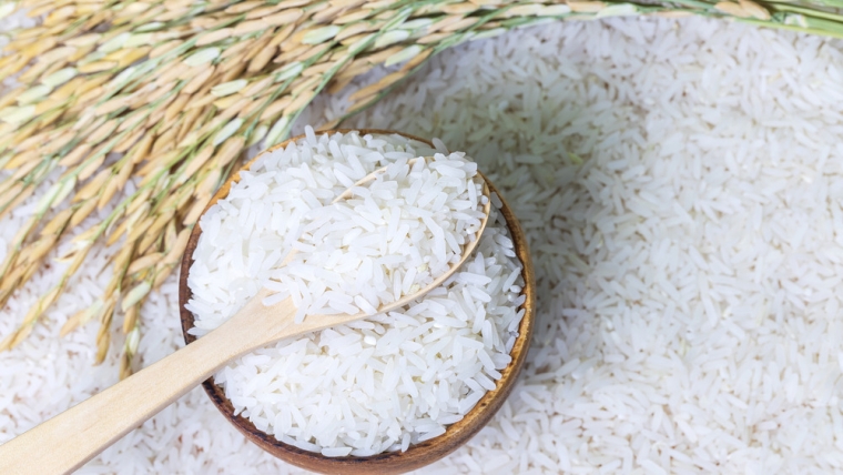 riz blanc a conserver pour toujours