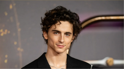 frange rideau boucle timothee chalamet