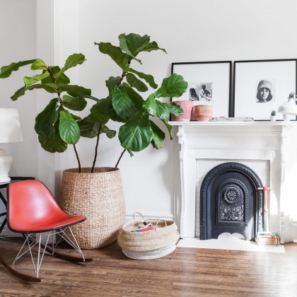 déco avec plantes vertes intérieur