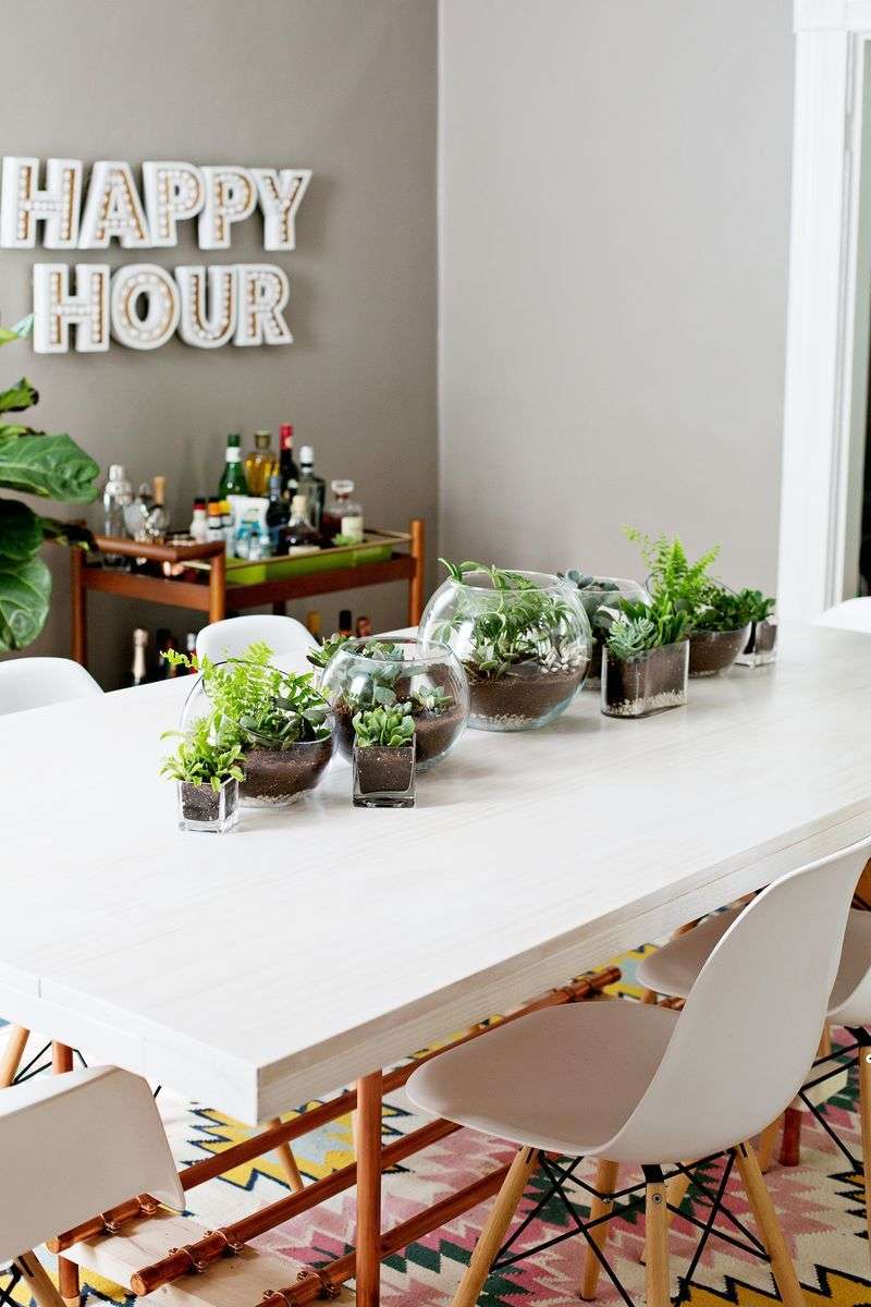 déco de table avec plantes vertes 